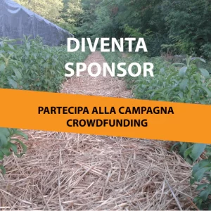 Progetto-crowdfounding-stevia-bio-mondo