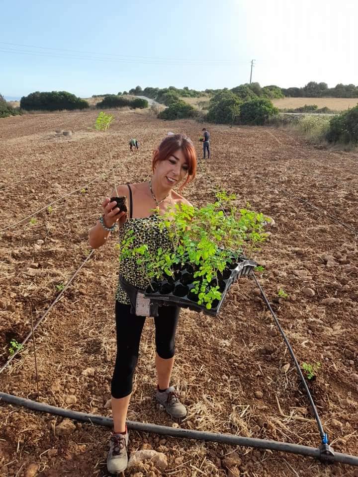"Angela Cirroni al lavoro nell’azienda agricola ShardaMoringa in Sardegna, dove viene coltivata la moringa italiana."